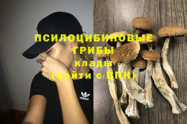 стафф Бородино